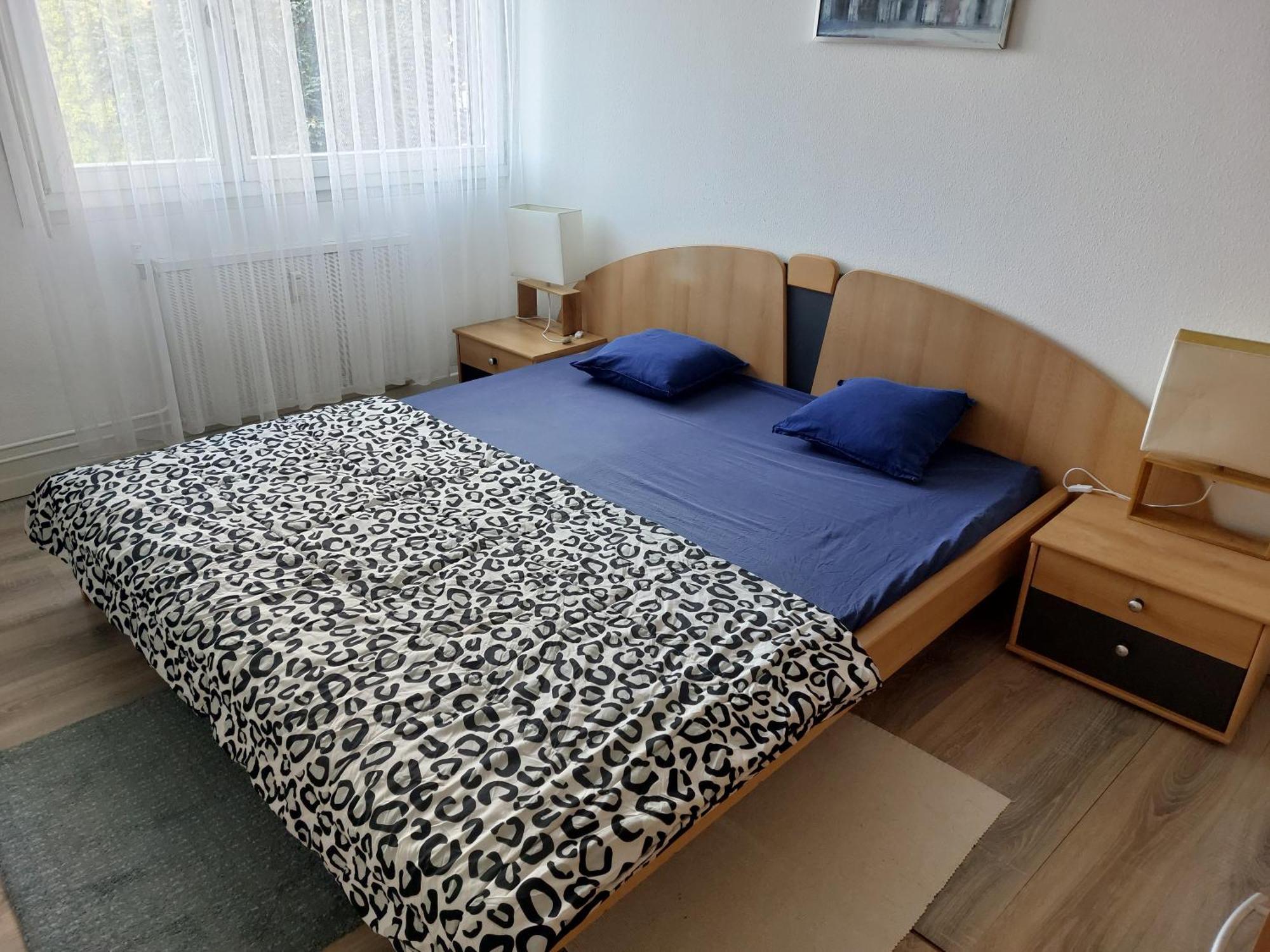 3 Zimmer Apartment In Saint Louis, Nahe Euroairport Bagian luar foto